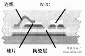 �մɻ���M����